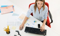 Vestibulum iaculis lacinia est